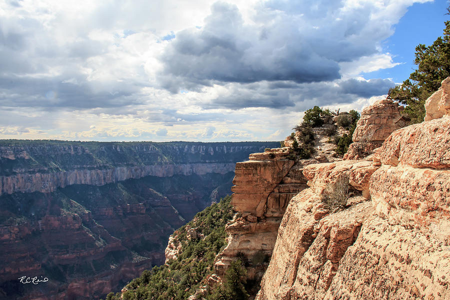 Grand Canyon North Rim AZ - U.S. National Parks - Snapshot 3                                         Photograph by Ronald Reid