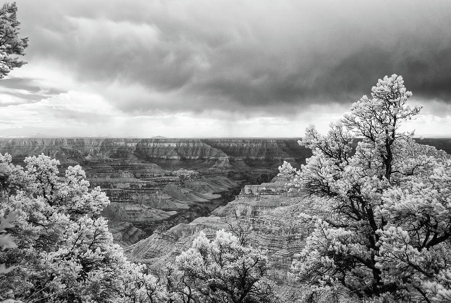 Grand Canyon, North Rim Photograph by Eugene Nikiforov