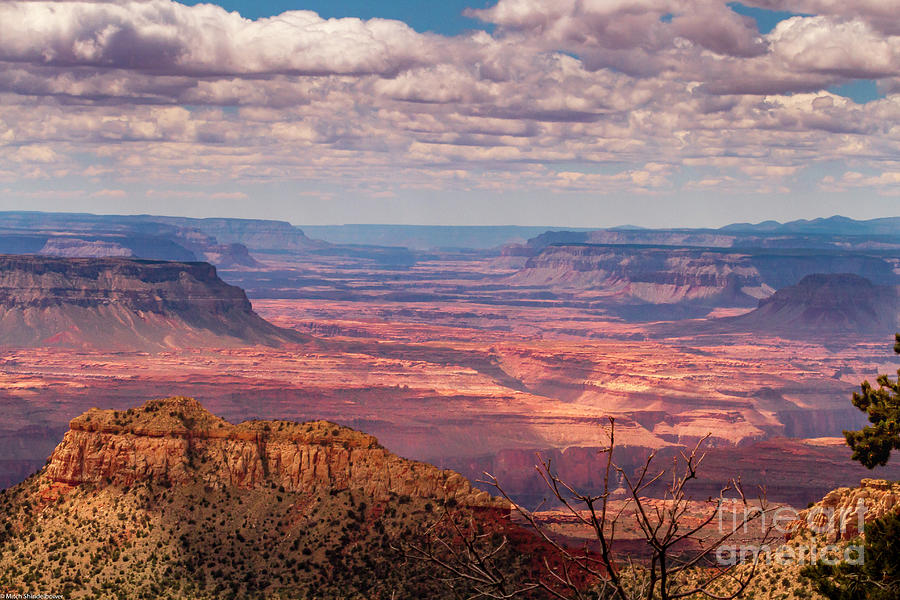 Grand Canyon North Rim Photograph