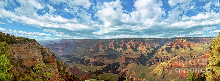 Grand Canyon NP Daytime Panorama Photograph by David Zanzinger