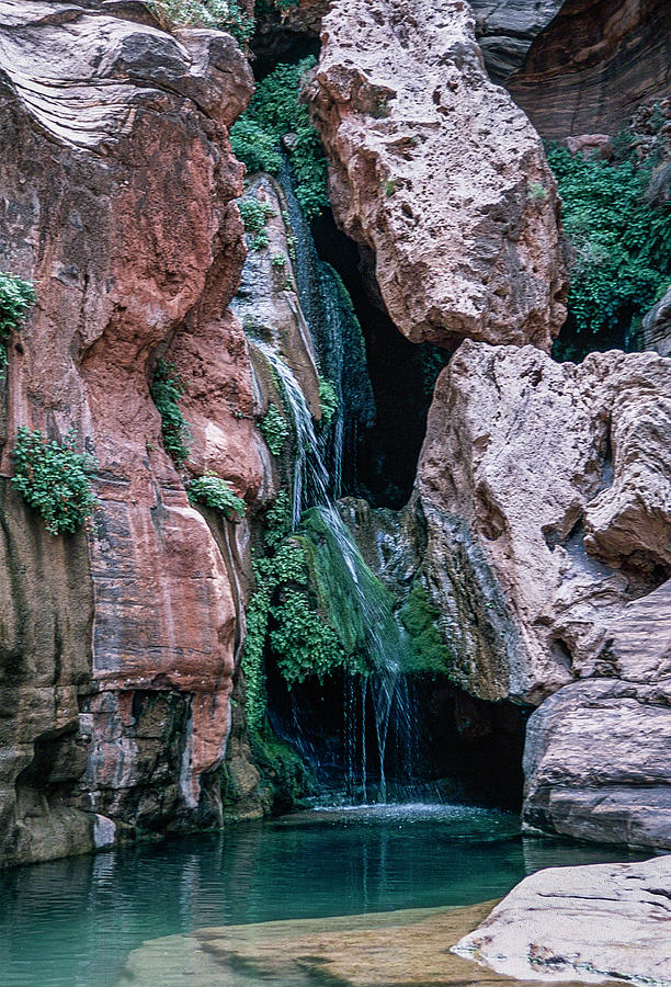 Grand Canyon Oasis Photograph