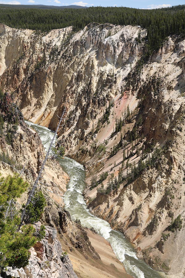Grand Canyon Of The Yellowstone Photograph by Dan Sproul
