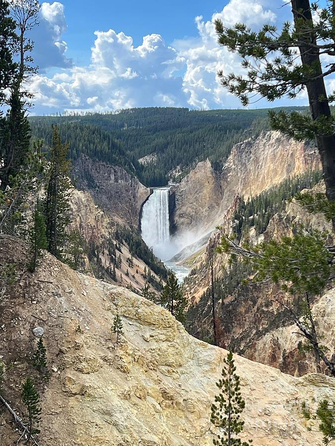 Grand Canyon of Yellowstone Photograph by Barbara Von Pagel