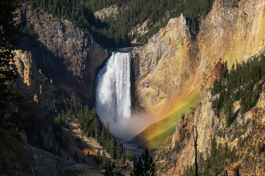 Grand Canyon of Yellowstone Photograph by Brook Burling