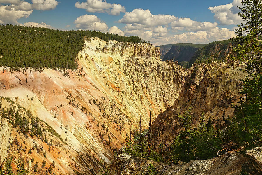Grand Canyon of Yellowstone Photograph by Judy Vincent