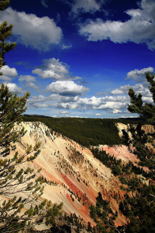 Yellowstone National Park Photograph - Grand Canyon of Yellowstone Park 2009 by Frank Romeo