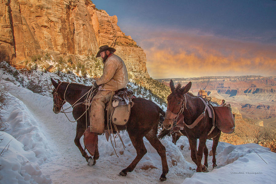 Grand Canyon Pack Mules Photograph by Wendell Thompson