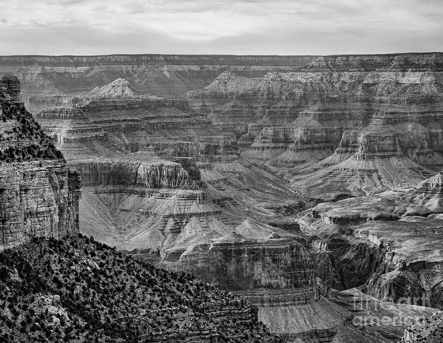 Grand Canyon Pano View Black White Photograph by Chuck Kuhn - Fine Art ...