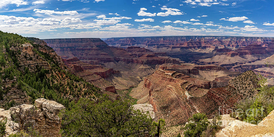 Grand Canyon Panorama 2 Photograph by Nick Zelinsky Jr