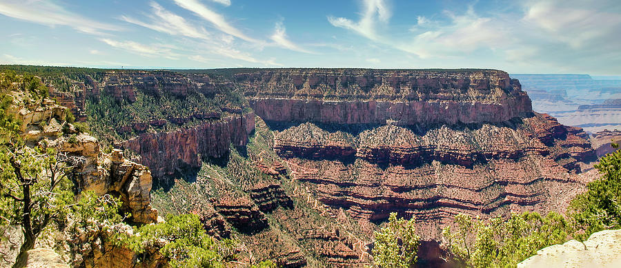Grand Canyon Panorama Legendary Cliffs Photograph by Dan Carmichael