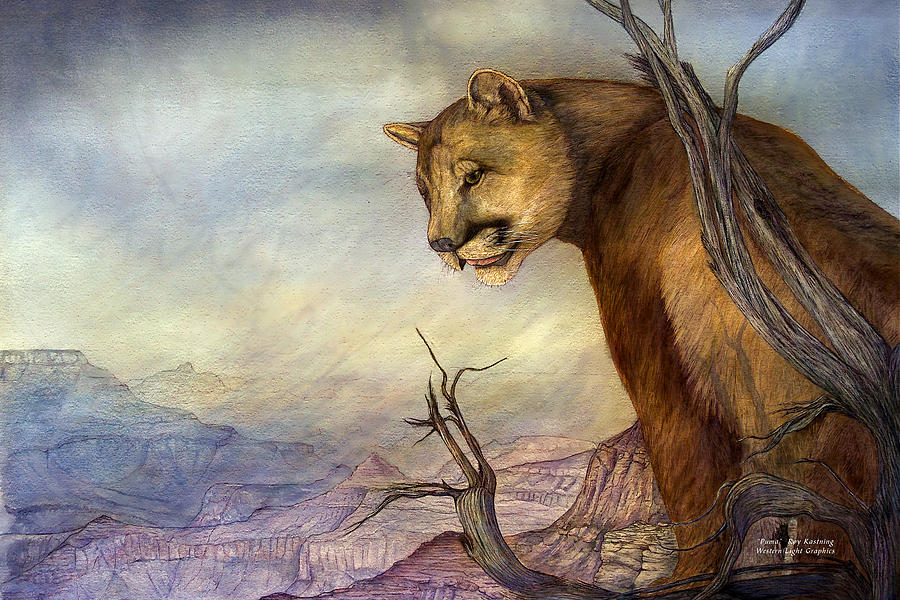 Grand Canyon Puma Painting by Roy Kastning