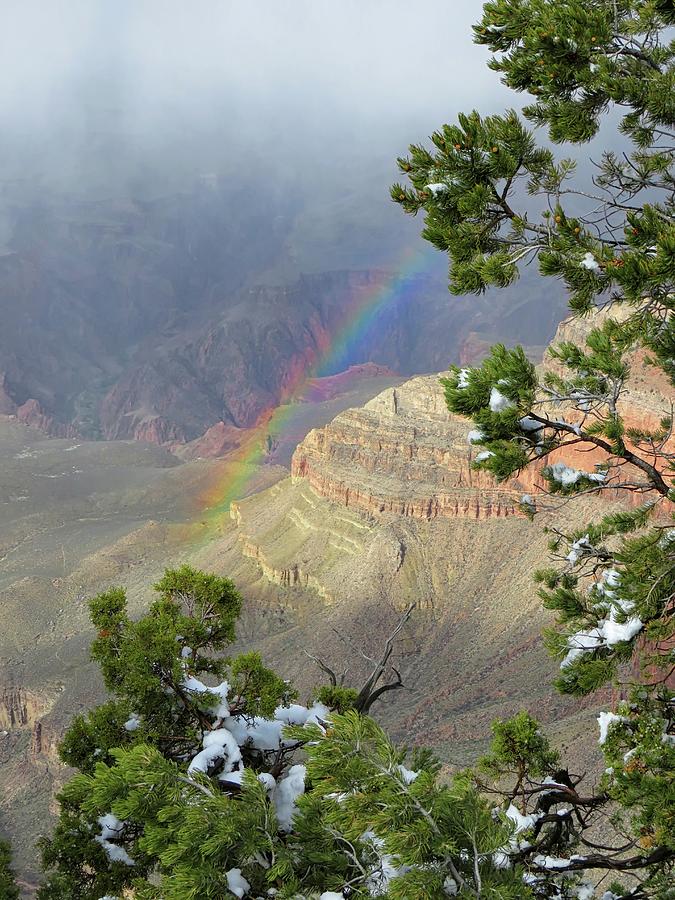 Grand Canyon Rainbow Photograph by Connor Beekman