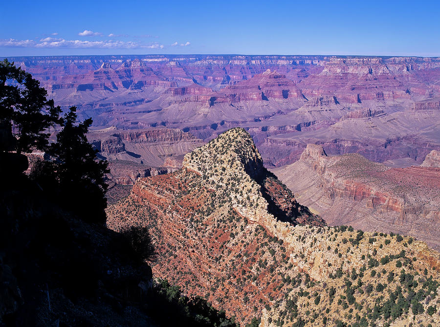 Grand Canyon Photograph by Robert Potts