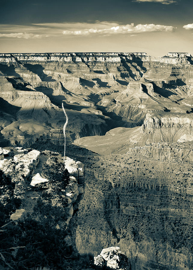 Grand Canyon National Park Photograph - Grand Canyon Sepia Shadows - Arizona by Gregory Ballos