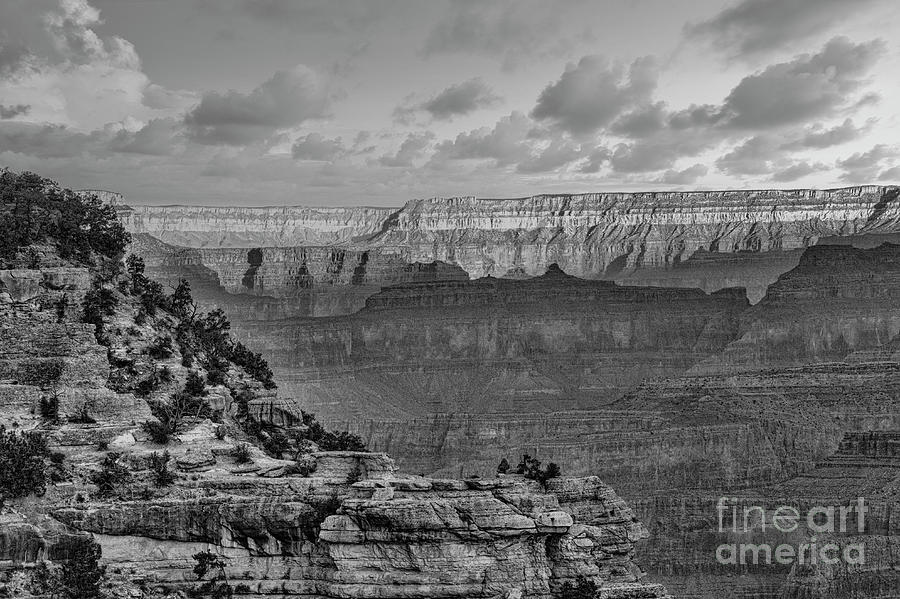 Grand Canyon Shadows Textures BW  Photograph by Chuck Kuhn