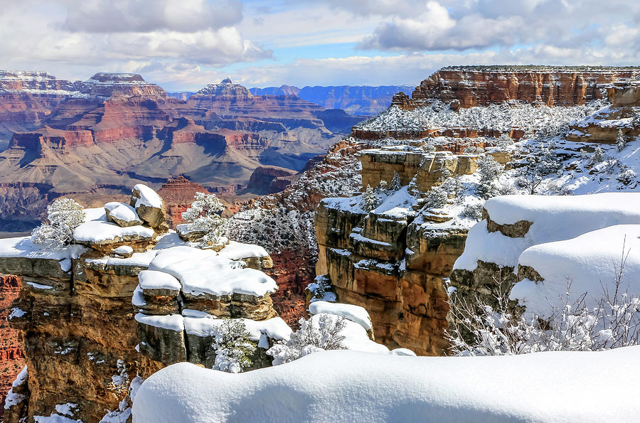Grand Canyon Snow 1 Photograph by Dawn Richards