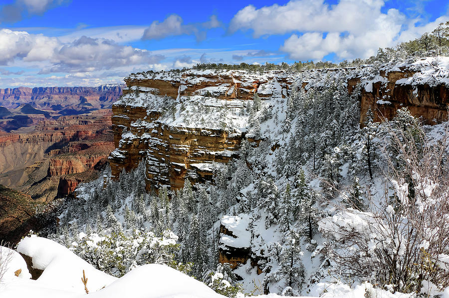 Grand Canyon Snow 4 Photograph by Dawn Richards