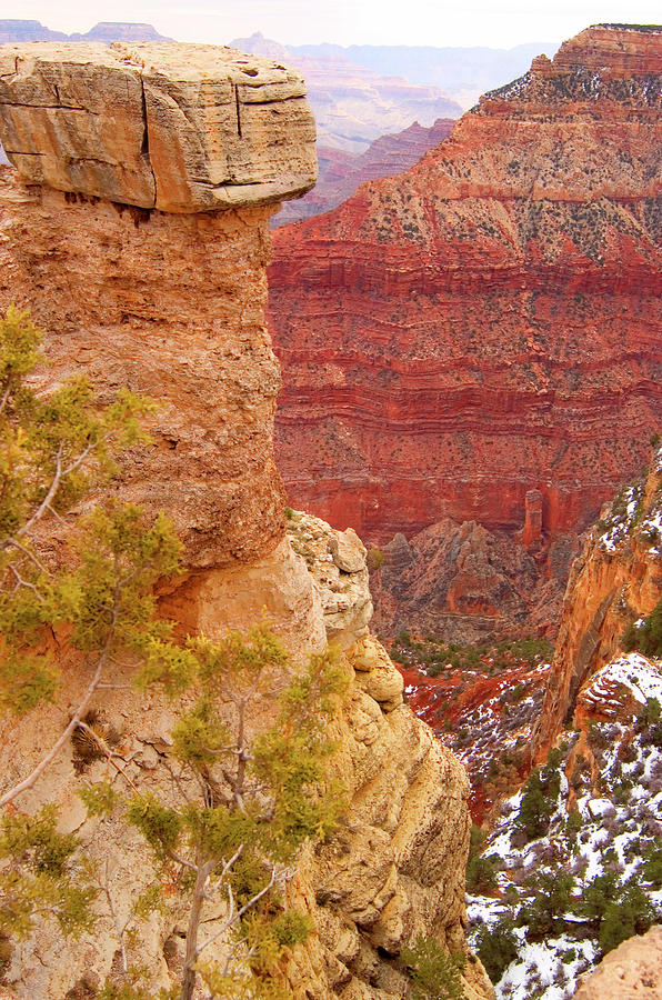 Grand Canyon Snow Photograph by Bob Pardue