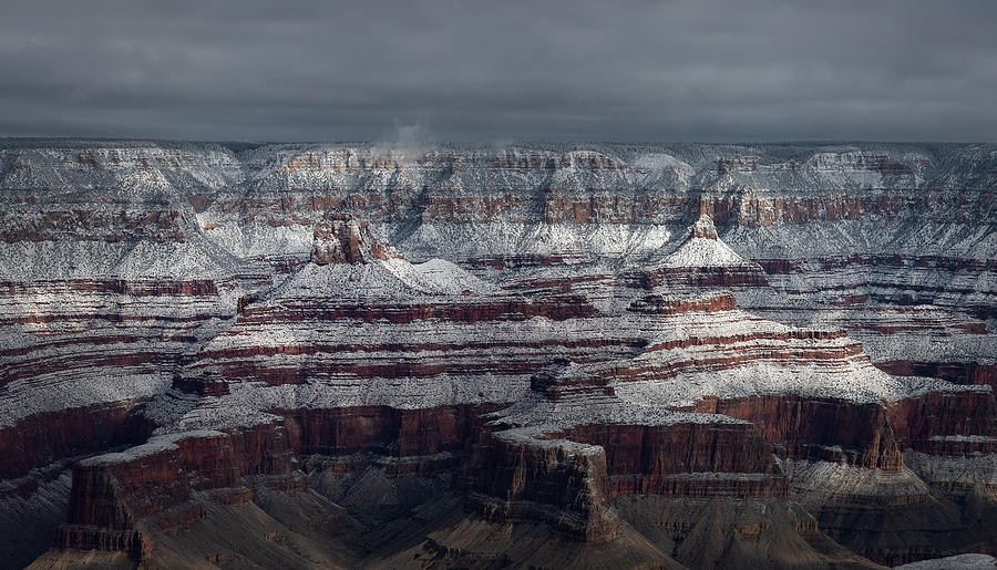 Grand Canyon Snow Photograph by Michael Just