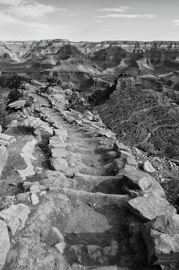 Grand Canyon South Kaibab Trail and Oneill Butte Vertical Black and White Photograph by Shawn OBrien
