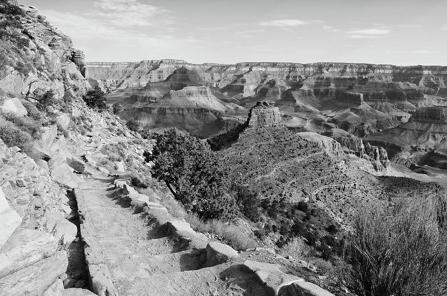 Grand Canyon South Kaibab Trail Overlooking Oneill Butte Black and White Photograph by Shawn OBrien