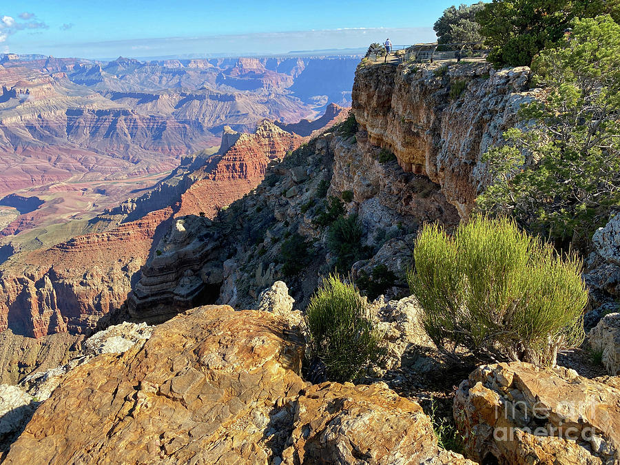 Grand Canyon South Rim Photograph by Jeanette French