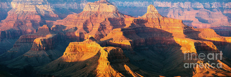 Grand Canyon South Rim Photograph by Matteo Colombo