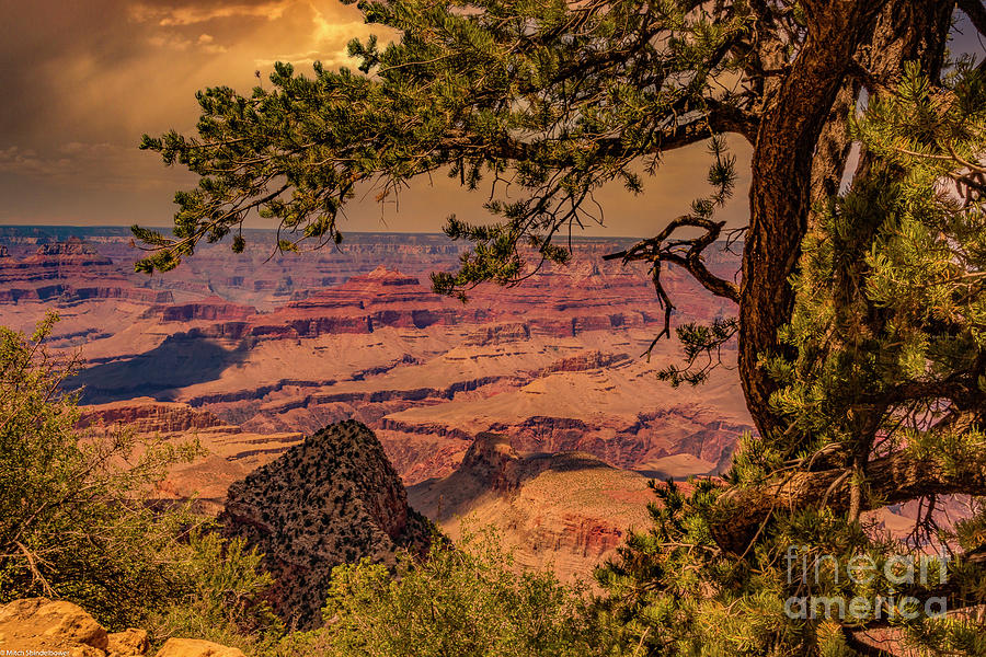 Grand Canyon South Rim Photograph