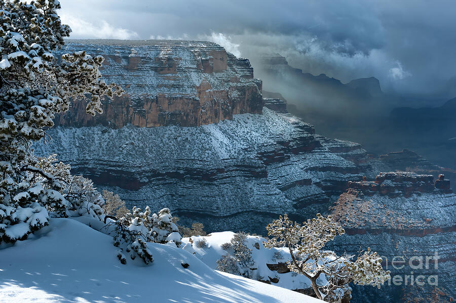 Grand Canyon Storm Photograph by Sandra Bronstein