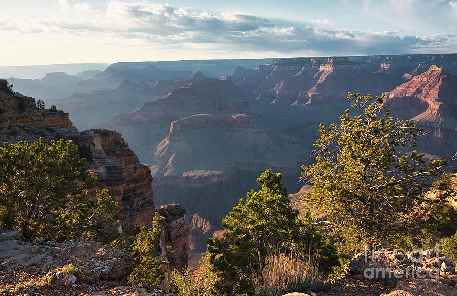 Grand Canyon Sunrise Photograph by Andrea Anderegg