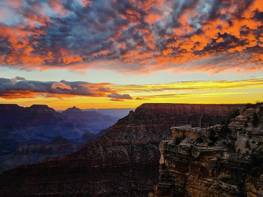 Grand Canyon Sunrise Photograph by Susie Loechler