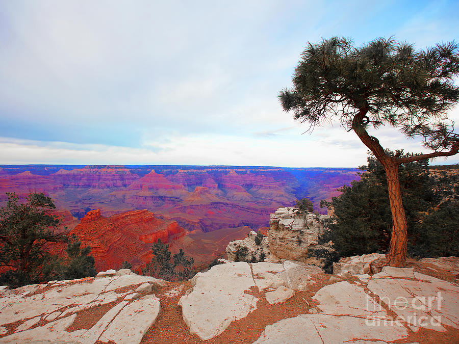 Grand Canyon Sunset Photograph by Catherine Walters