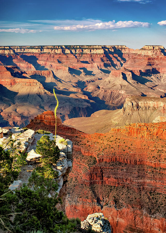 Grand Canyon National Park Photograph - Grand Canyon Sunset Shadows - Arizona by Gregory Ballos