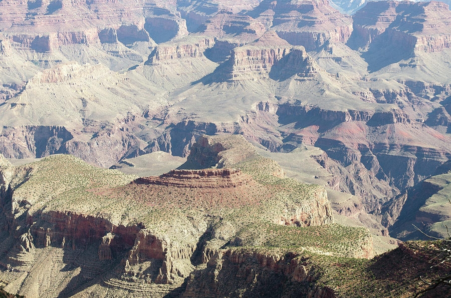 Grand Canyon Photograph by Ted Kessler