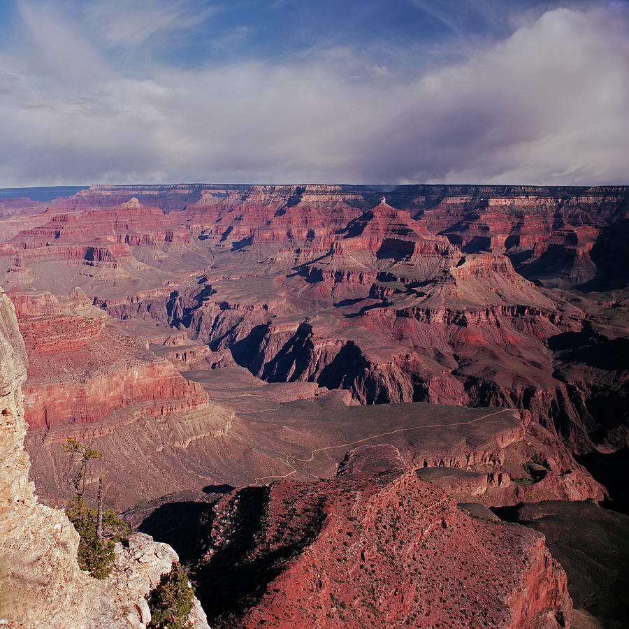 Grand Canyon Trail Photograph by Tom Daniel