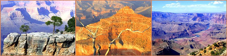 Grand Canyon Triptych Photograph by Will Borden