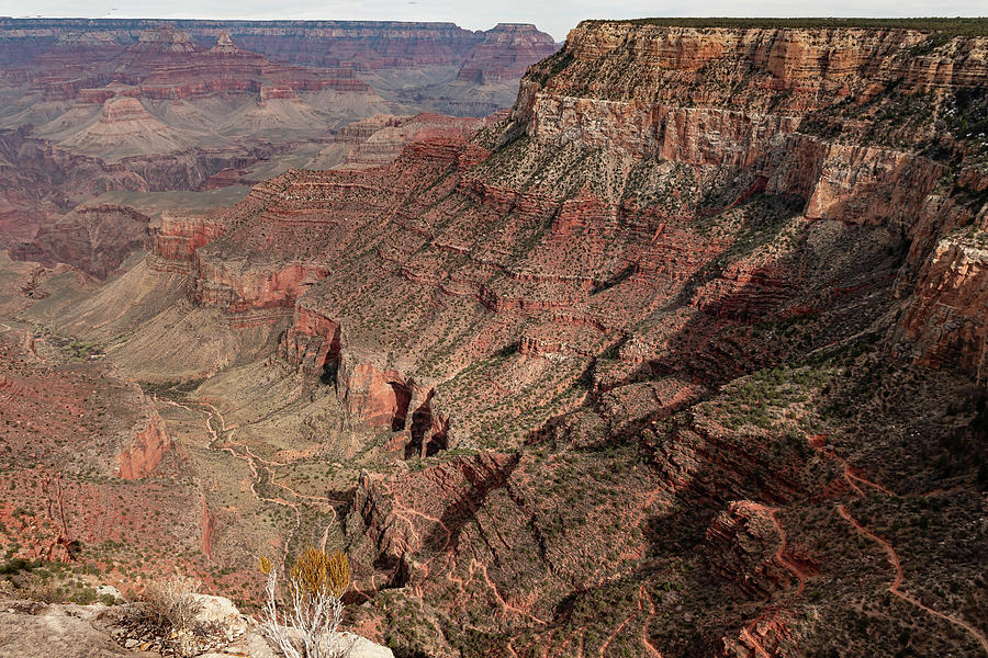 Grand Canyon view at Trailhead Overlook 2 Photograph by Tom Clark ...