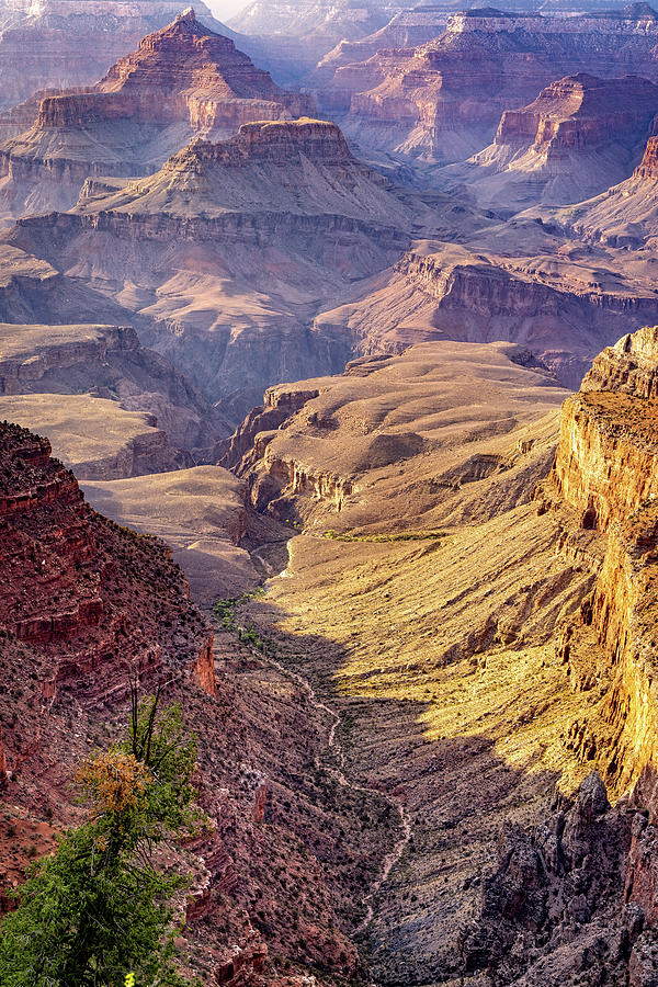 Grand Canyon View Photograph by Brad Boland