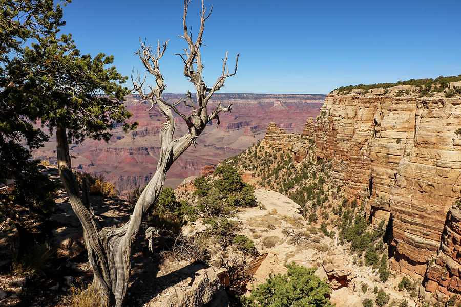 Grand Canyon View Photograph by Dawn Richards