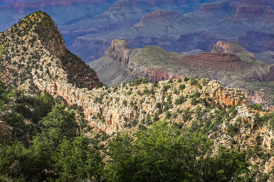 Grand Canyon View from Grandview Trail Photograph by Bonny Puckett