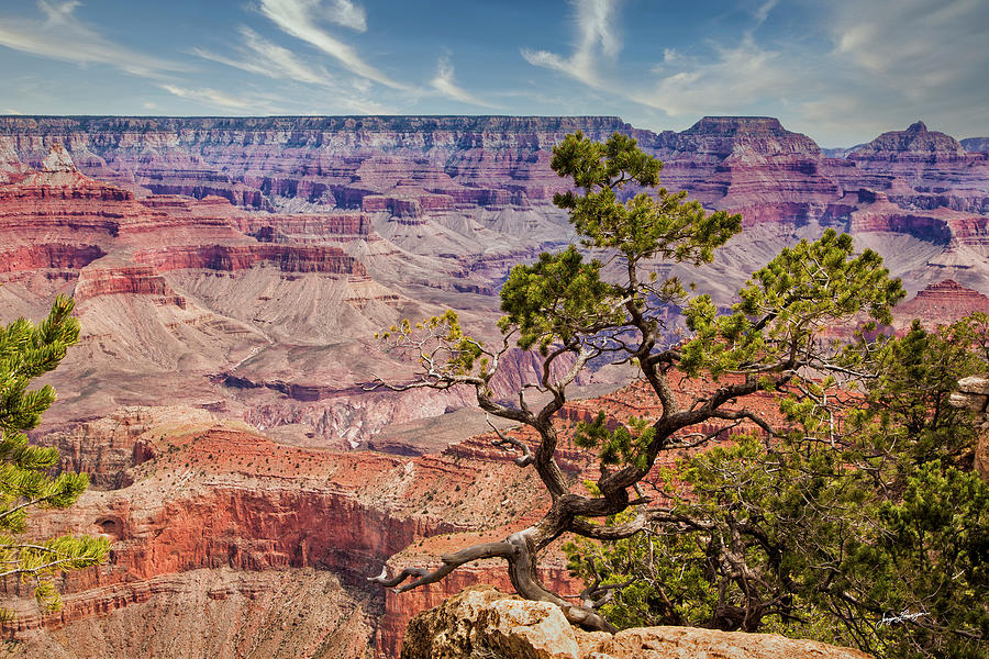 Grand Canyon View Photograph by Jurgen Lorenzen