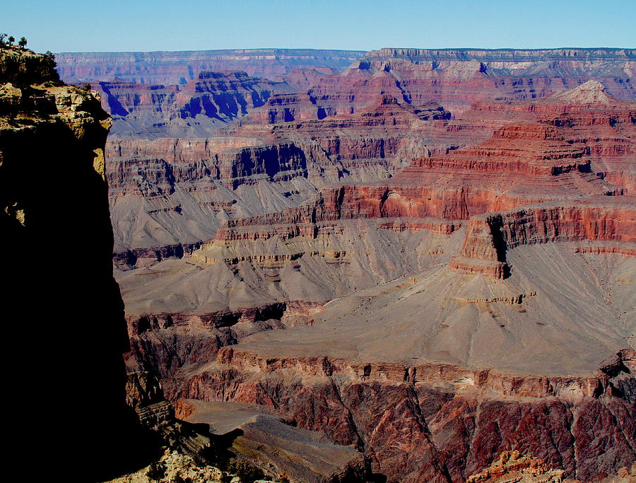 Grand Canyon View Photograph by Tammy Hankins