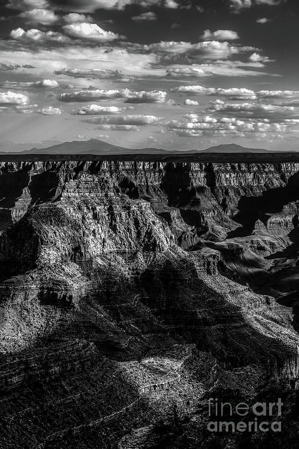 Grand Canyon Vista in Black and White-Vertical Photograph by Diane Diederich