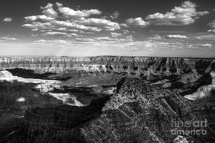 Grand Canyon Vista in Black and White- Horizontal Photograph by Diane Diederich