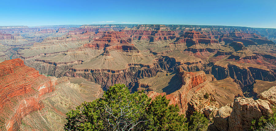 Grand Canyon Vista Photograph