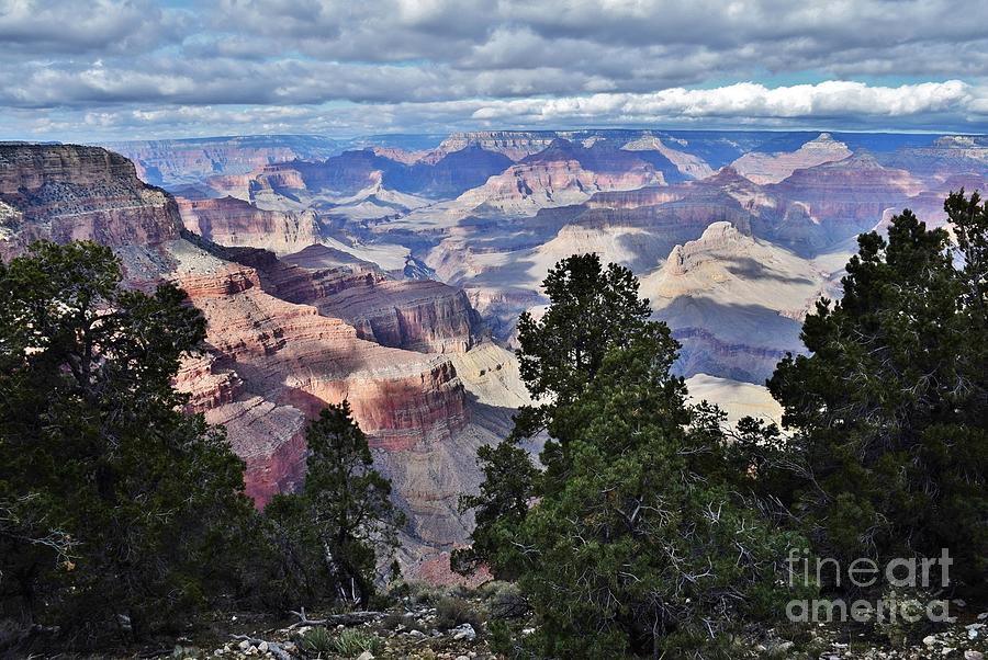 Grand Canyon Winter Shadows Photograph by Janet Marie