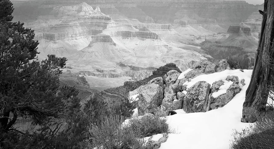 Grand Canyon with snow Arizona USA Photograph by Bob Pardue