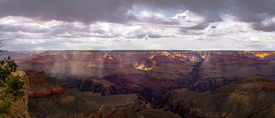 Grand Canyon Yavapai Panorama Photograph by Rebecca Herranen