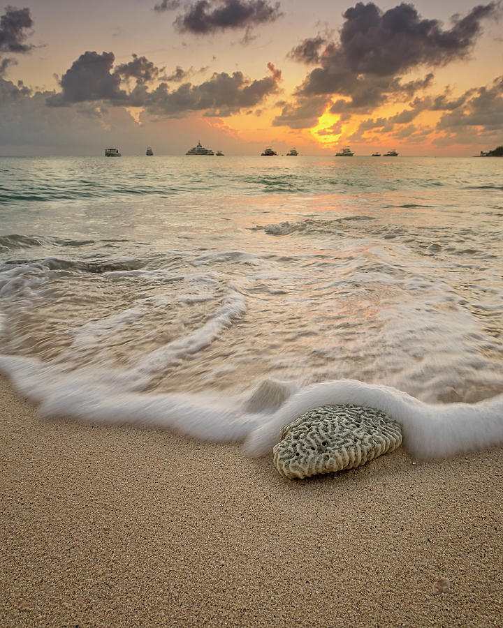 Beach Photograph - Grand Cayman Beach Coral Waves at Sunset by Adam Romanowicz