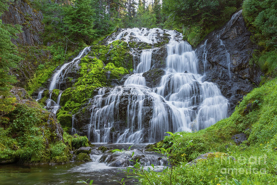 Grand Creek Falls in Summer Photograph by Nancy Gleason